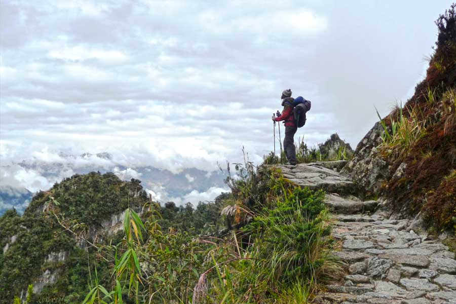 Camino Inca A Machu Picchu (2 Dias | 1 Noche)