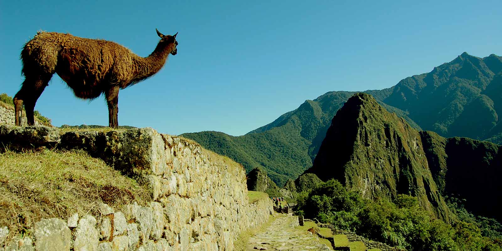 Machu Picchu Tours